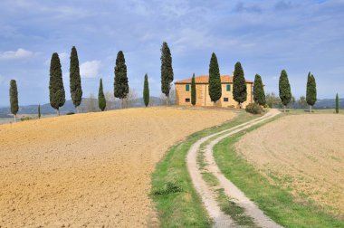Pienza Tuscany İtalya yakınlarındaki çiftlik ve selvi ağaçları.