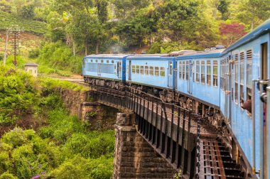 Nuwara Eliya 'dan Kandy' ye giden tren Sri Lanka 'nın dağlık bölgelerindeki çay tarlalarının arasında..