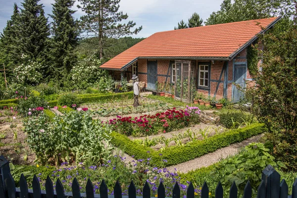 Lantgård med grönsaksträdgård och fågelskrämma — Stockfoto