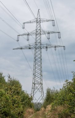 elektrik direği tarlada