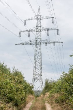 elektrik direği tarlada