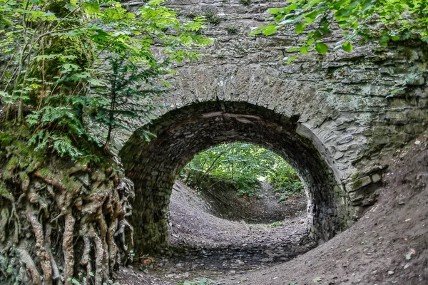 Landskap Runt Ginsburg Siegerland — Stockfoto