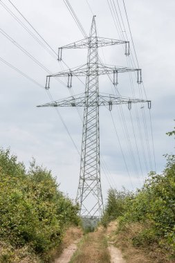 elektrik direği tarlada