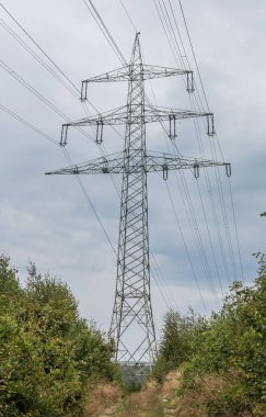 elektrik direği tarlada