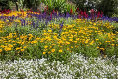 Renkli bir çiçek denizi olan çiçek tarhı.