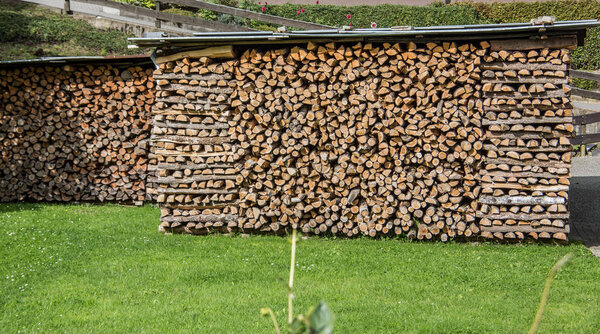 Firewood in the wooden shed