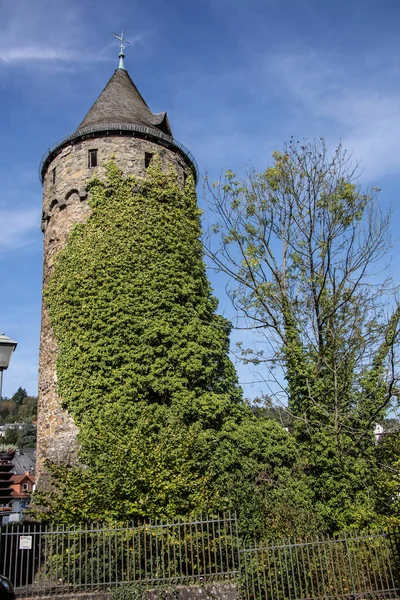 迪伦堡的城堡和城堡 — 图库照片
