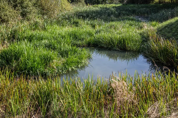 Terras pantanosas como um pântano no fosso — Fotografia de Stock