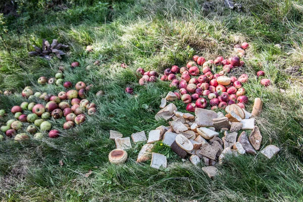 Apples and bread as a feeding place for game