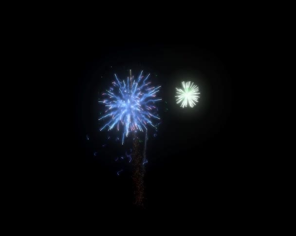 Buntes Feuerwerk Nachthimmel — Stockvideo