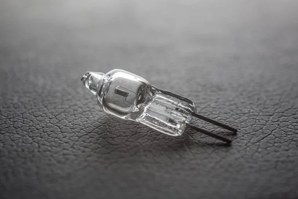 Halogen lamp illuminant with filament — 스톡 사진