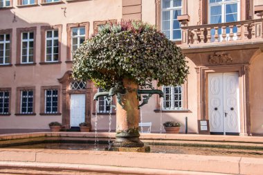 Bad Berleburg 'daki Siegen-Wittgenstein Kalesi