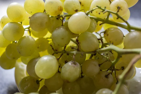 Groene wijndruiven op een stokje — Stockfoto