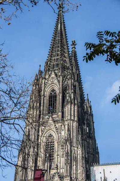 Кельнський собор як пам "ятник — стокове фото