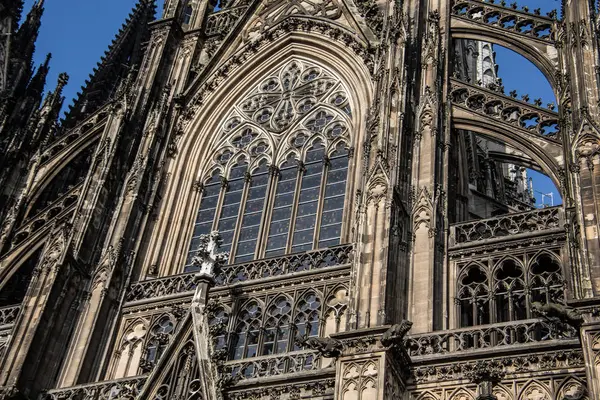 Bir anıt olarak Köln Katedrali — Stok fotoğraf