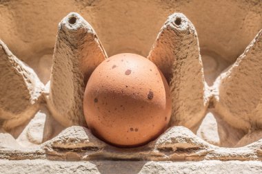 Paketinde lekeler olan yumurta.