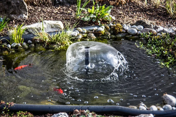 魚や噴水のある金魚池 — ストック写真