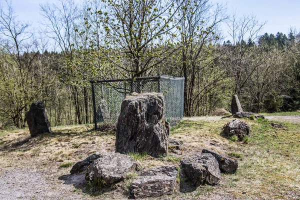 Pedras erráticas em torno de árvore caduca solitária — Fotografia de Stock