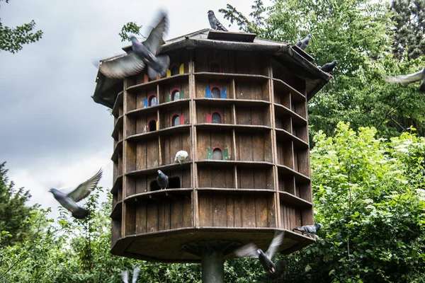 Ronde Houten Duiventil Stand — Stockfoto