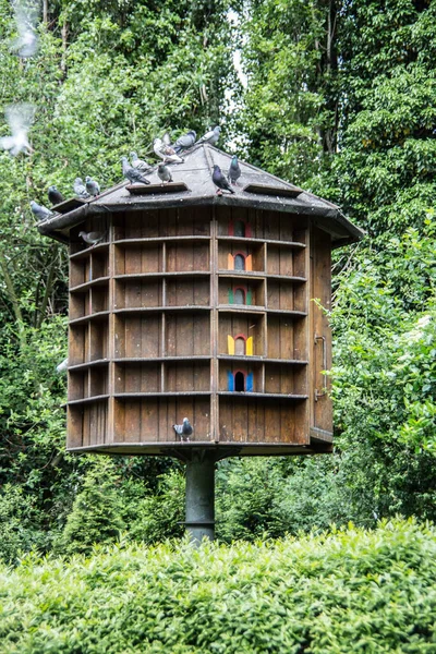 Casa Piccione Legno Rotonda Sul Basamento — Foto Stock