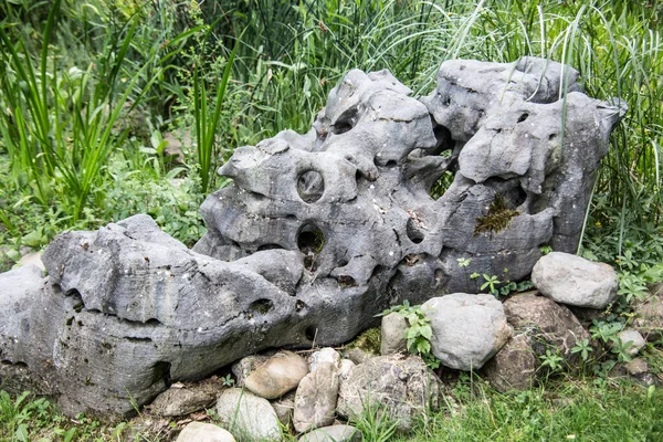 Pedra Zona Húmida — Fotografia de Stock