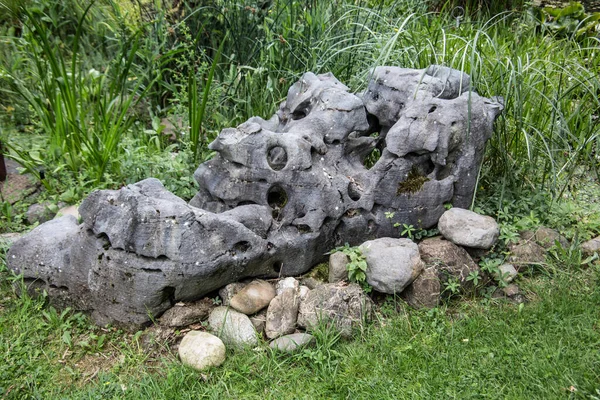 Roca Piedra Los Humedales — Foto de Stock