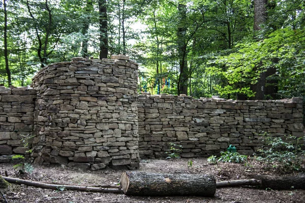 Stone Castle Wall Forest — 图库照片