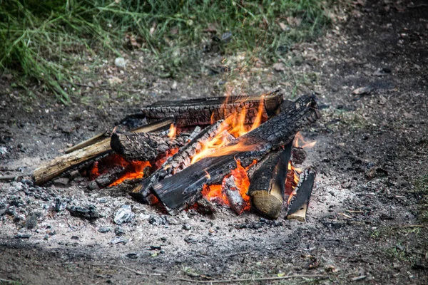 Kampvuur Met Brullende Vlammen Het Bos — Stockfoto