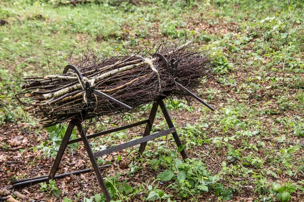 Csomó Ecset Halmozódott Fel Erdőben — Stock Fotó