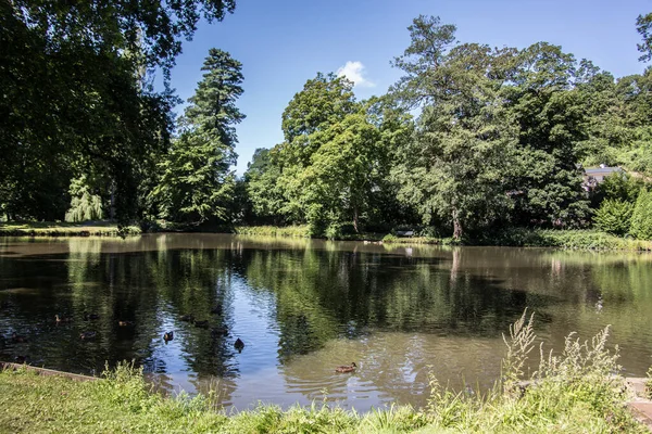 Stagno Nel Parco Del Castello Sayn — Foto Stock