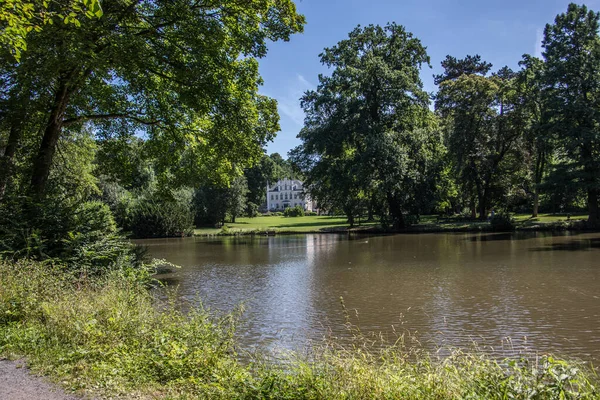 Stagno Nel Parco Del Castello Sayn — Foto Stock