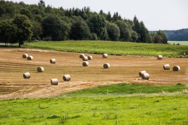 Sonbaharda tarlada saman balyaları