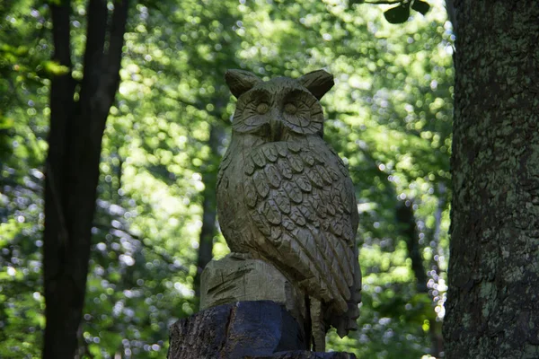 Sculptures Bois Dans Forêt Sur Sentier Randonnée — Photo