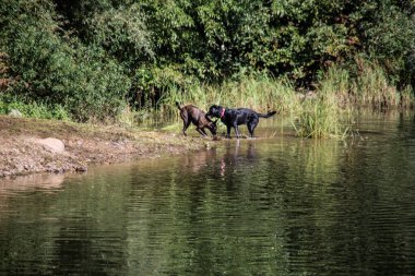 Bergisches Diyarı 'nda Lingese Barajı