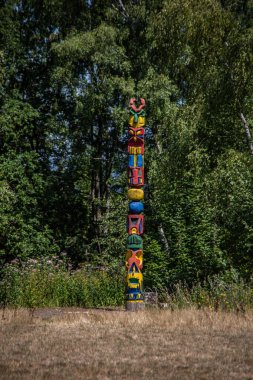 Ormandaki renkli Hint martello ağacı.