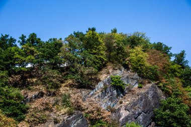 Yeşillikle kaplı dağ manzarası