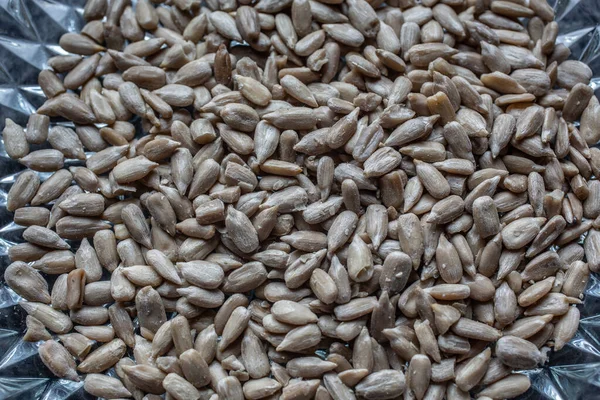 A pile of sunflower seeds as bird feed