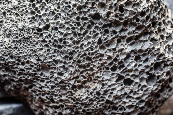 Gray Porous Pumice Stone Volcanic Igneous Rock — Stock Photo, Image