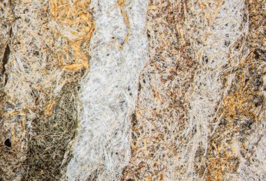 Kağıt gibi bir eşekarısı kovanının kahverengi desenli duvarı