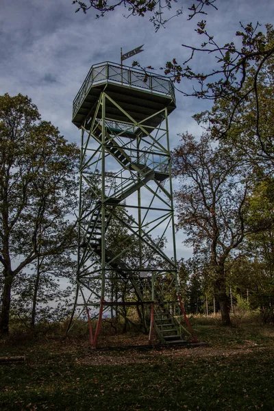 Siegener Rabenhain Vartiotorni Metsässä — kuvapankkivalokuva