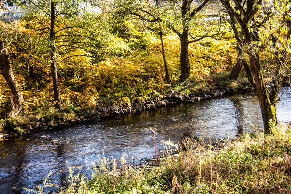 Осенний Лес Пересекает Голубая Река — стоковое фото
