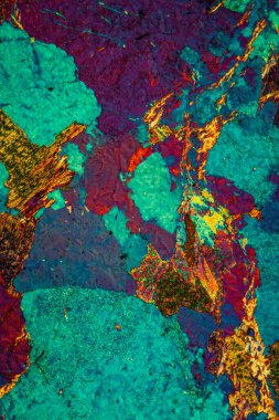 Mikroskop altında Gneiss başkalaşımlı kaya 100 x