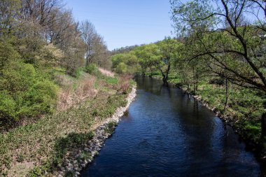Siegerland 'daki ağaçlar arasında nehir yolu