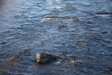 Akıntılı ve taşlı nehir