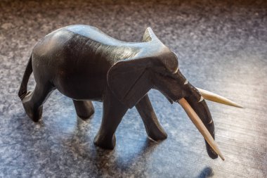 Dişleriyle oyulmuş dolgun derili.