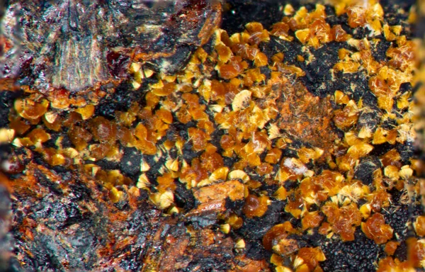 Eleonorite和Kakoxen矿物 — 图库照片