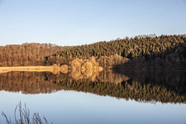 Sonbahar gölü, sudaki ağaçların yansımalarıyla