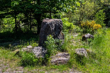 Felsen auf einer Lichtung im Wald