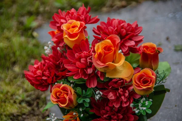 Rosas Con Flores Rojas Amarillas —  Fotos de Stock