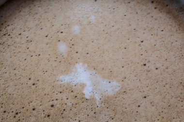 Düşünen topları olan timsah kahve köpüğündeki süt damlaları gibi yüzer.